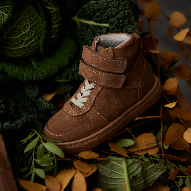 SNEAKER COLLECTION – Petit Nord EU