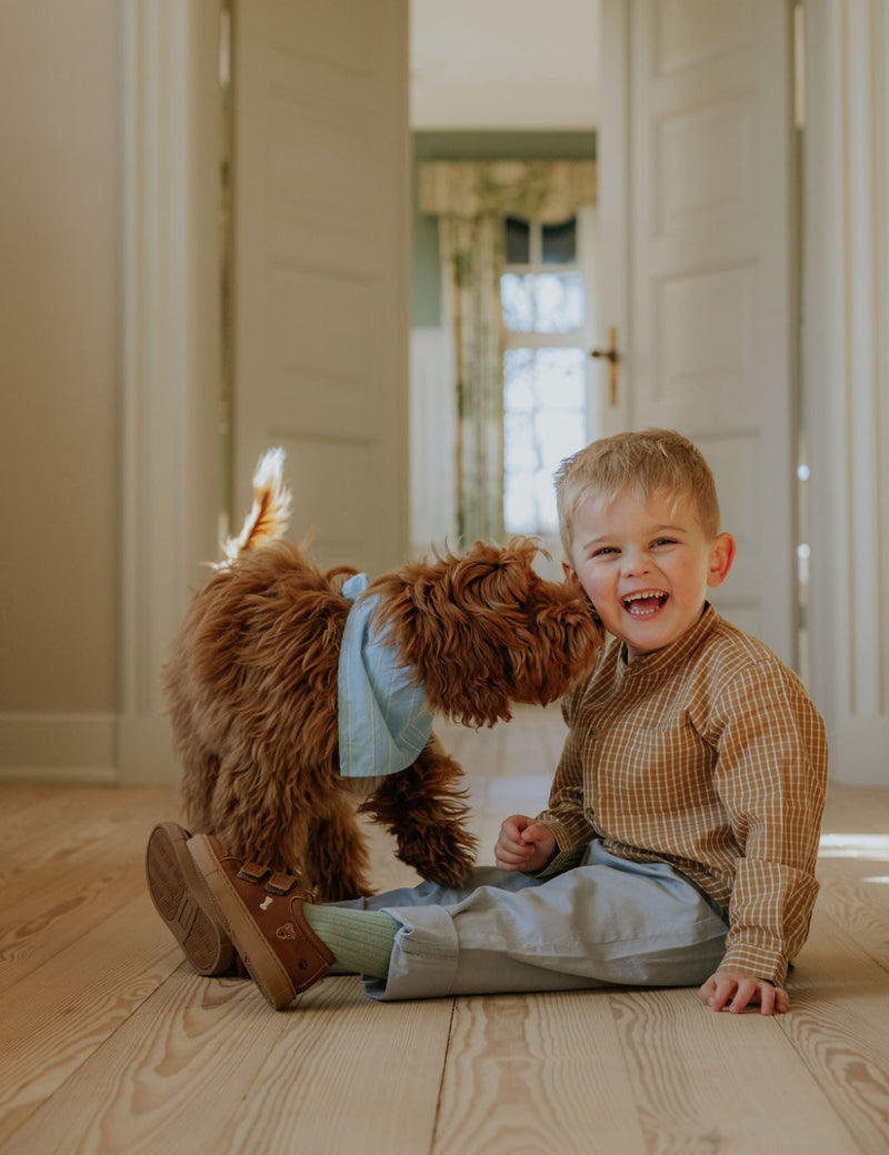 Petit Nord Puppy Low Sneakers Sneakers Latte 021
