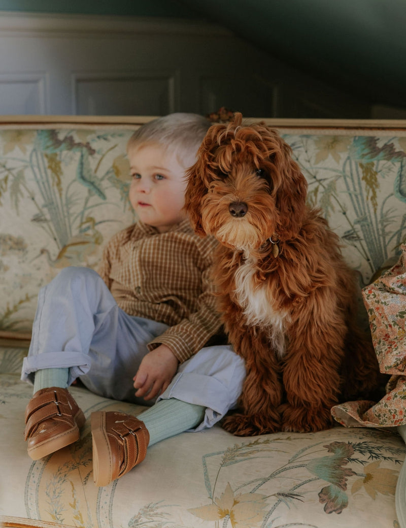 Petit Nord Puppy Low Sneakers Sneakers Latte 021