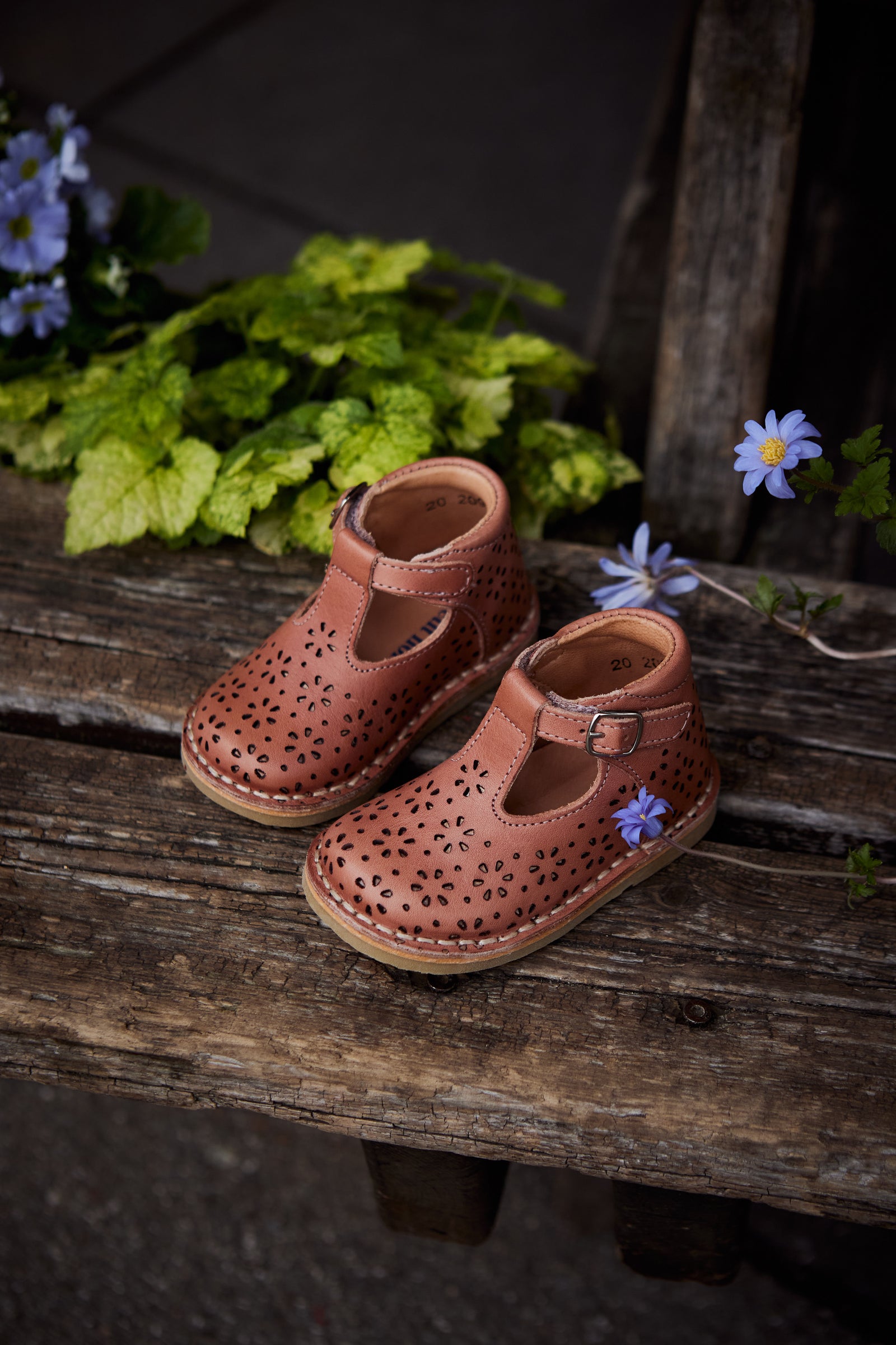 old rose shoes